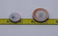 DAILY RFID unveils RFID metal tag like coin & stickers for metal surfaces DAILY RFID unveils RFID metal tag like coin & stickers for metal surfaces