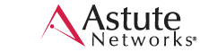 Astute Networks Survey Reveals Flash Technology Is a Key Solution to Overcome the Performance Challenges of VDI Astute Networks Survey Reveals Flash Technology Is a Key Solution to Overcome the Performance Challenges of VDI