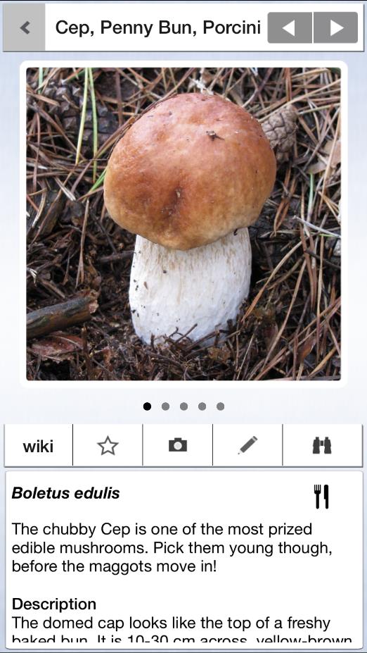 New Mushroom & Toadstool Identification App, the first app dedicated solely to British Fungi New Mushroom & Toadstool Identification App, the first app dedicated solely to British Fungi