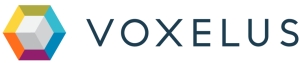 Voxelus Finalizes Terms on Voxels Token-to-Equity Conversion Option Voxelus Finalizes Terms on Voxels Token-to-Equity Conversion Option