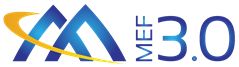 MEF Releases MEF 3.0 Transformational Global Services Framework MEF Releases MEF 3.0 Transformational Global Services Framework