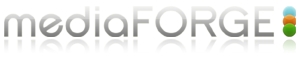 mediaFORGE Named Among Five Fastest Growing Utah Companies